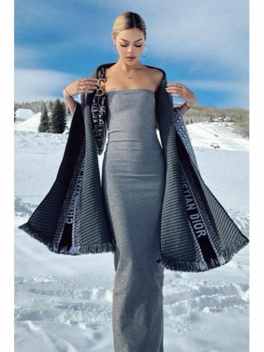 Wolford Strapless Fading Shine Bodycon Dress Titanium Silver Size XS